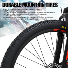 Mountain Bike, 26 - Inch Wheels, Teen Boys, Girls - Black & Blue