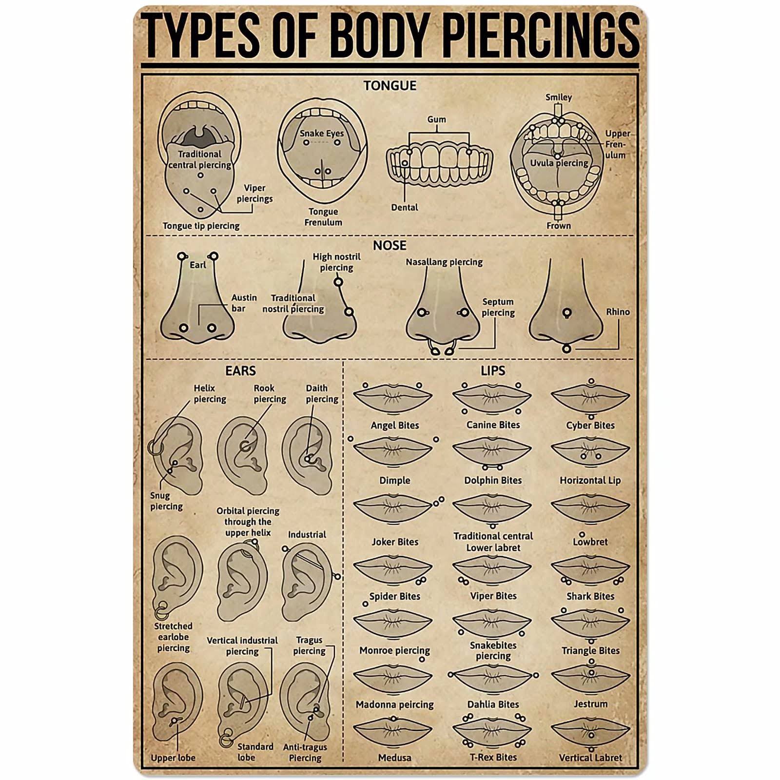 Types of Body Piercings Tin Sign Knowledge Popular Science Poster School Farm Garden Hospital Information Table Bar Garage Club Home Wall Decoration