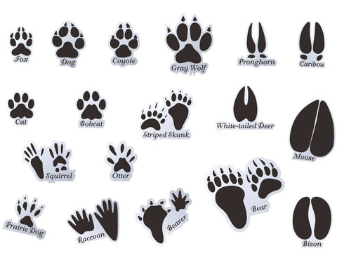 Mozamy Creative Animal Tracks Wall Decals (18 Count) Animal Wall Decals Animal Tracks Wall Decor Boys Room Wall Decals Removable, Black