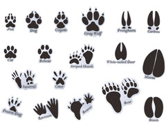 Mozamy Creative Animal Tracks Wall Decals (18 Count) Animal Wall Decals Animal Tracks Wall Decor Boys Room Wall Decals Removable, Black