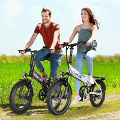Gocio Foldable Electric Bike for Adults, Peak 750W Electric Mountain Bicycles, 20" * 2.4" Fat Tire Electric Bicycle, 375wh 48V Removable Lithium - Ion Battery, Urban Commuter Ebike Man Woman UL2849