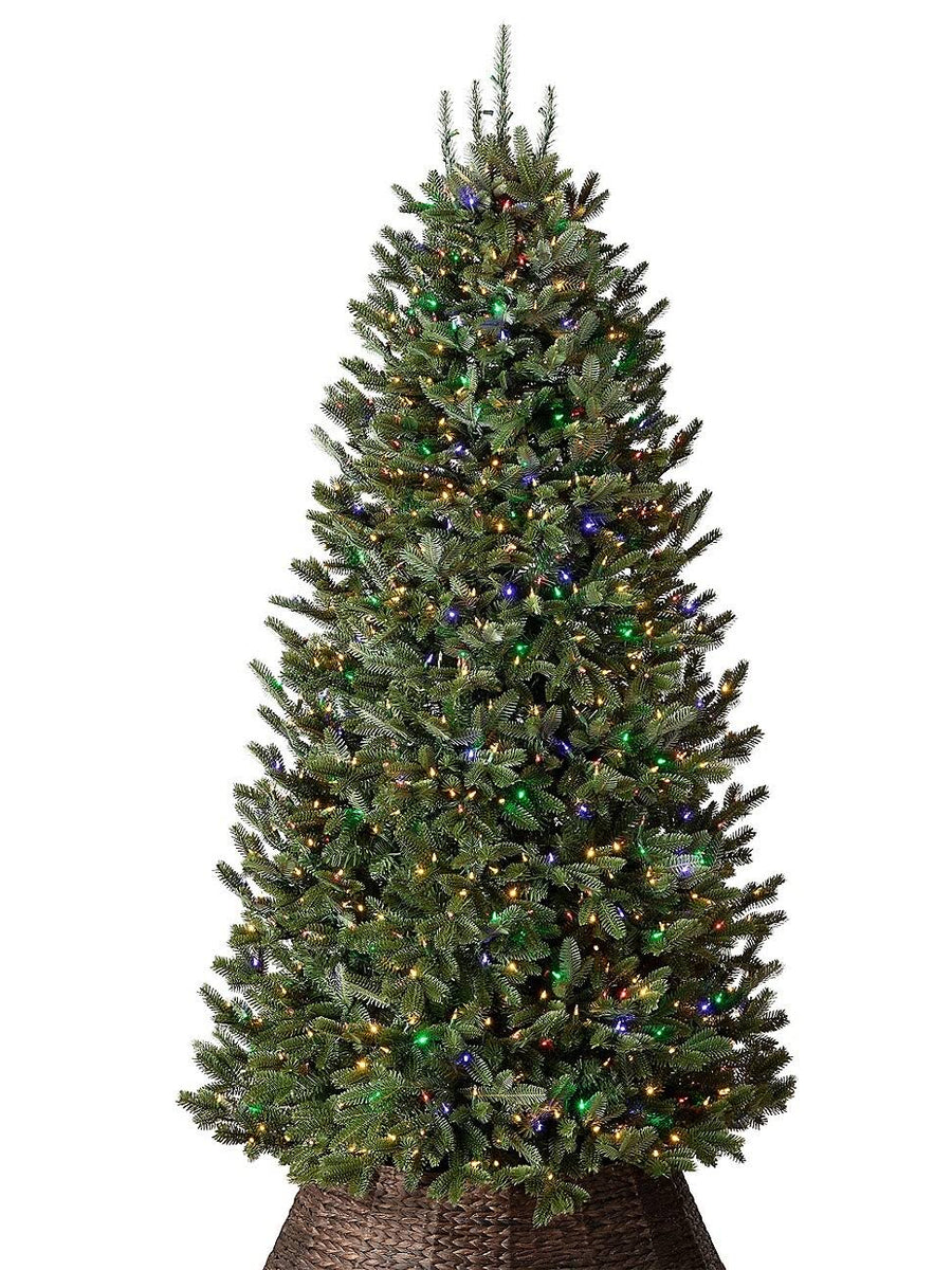BH Fraser Fir Narrow Pre-Strung Artificial Christmas Tree