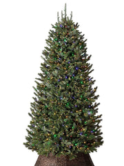 BH Fraser Fir Narrow Pre-Strung Artificial Christmas Tree