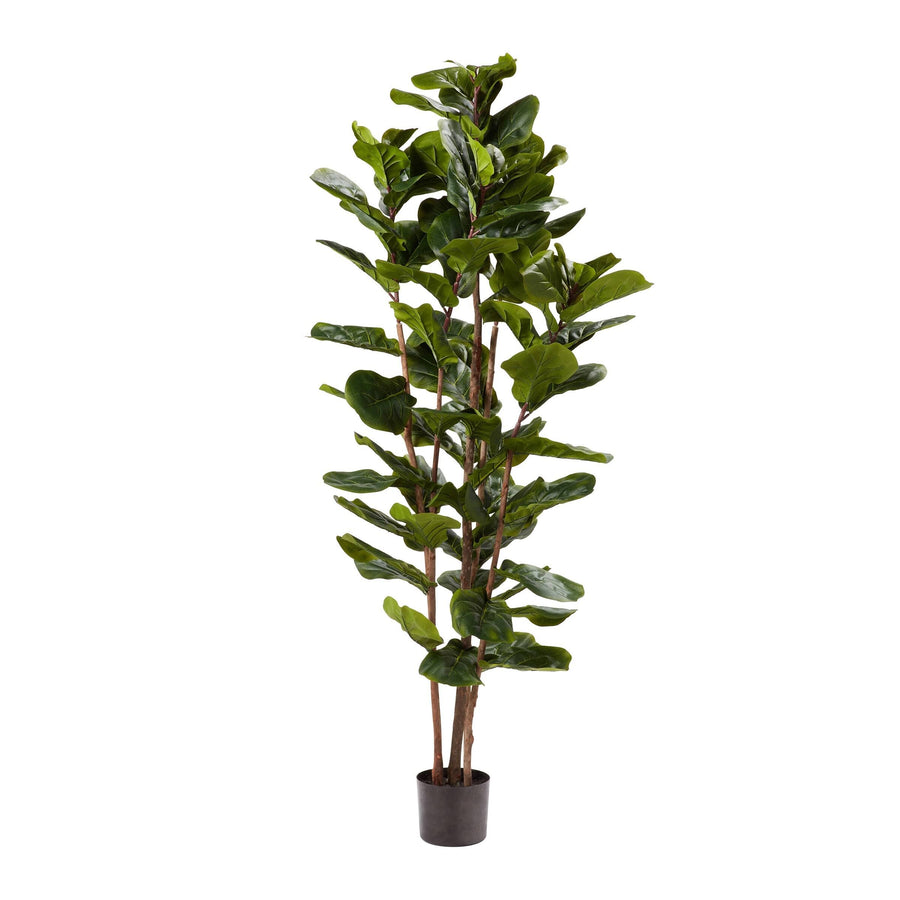 Pure Garden Faux Plant Natural Feel Leaves-Realistic Indoor Potted Topiary-Home Decor Artificial Fiddle Leaf Fig Tree-72, Green