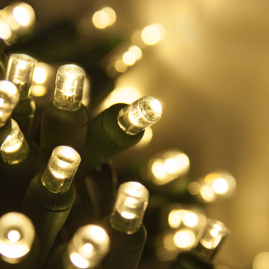 50 5mm Warm White LED Christmas Lights, Green Wire, 6" Spacing
