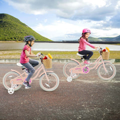 Prorider 16" Kid'S Bike with Training Wheels Adjustable Handlebar Seat Handbrake Pink