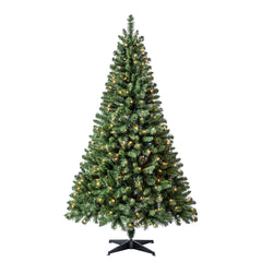Clear Lights by Ashland 6' Pre-Lit Windham Spruce Artificial Christmas Tree - Each