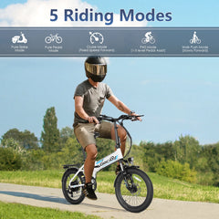 Gocio Foldable Electric Bike for Adults, Peak 750W Electric Mountain Bicycles, 20" * 2.4" Fat Tire Electric Bicycle, 375wh 48V Removable Lithium - Ion Battery, Urban Commuter Ebike Man Woman UL2849