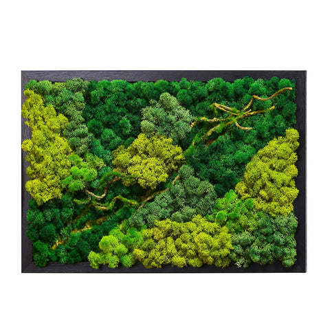LVZHIHUAN Moss Wall Decor Real Preserved Moss No Maintenance Required Eco Natural Green Wall Art Moss Frame Living Plants Vertical Garden 19.7