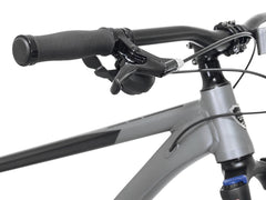 Bicycles 29" Men'S Trouvaille Mountain Bike Medium, Black and Taupe