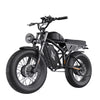 Freego F3 Pro 2000W Dual Motor Electric Bike for Adults, & Dual Battery 48V/40ah, 20"x4.0" Fat Tires Off Road Electric Bicycle with Removable Battery, 34MPH&68 Long Range E Bike UL2849