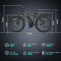 Aostirmotor Electric Mountain Bike, 48V 13AH Removable Lithium Battery 750W Ebike with Rack, 26" 4.0 in Fat Tire Bike, Electric Bicycle for Adults(Black)