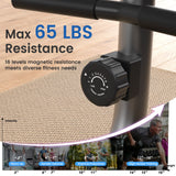 Yosuda Recumbent Exercise Bike for Senior for Home with 350 lb Capacity