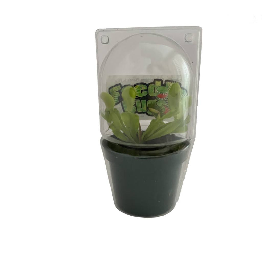 Gubler Carnivorous Plant House Plant in 1-oz Pot | Nursery