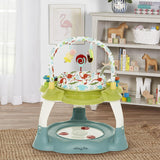 Dream on Me Carnival 3 in 1 Activity Center