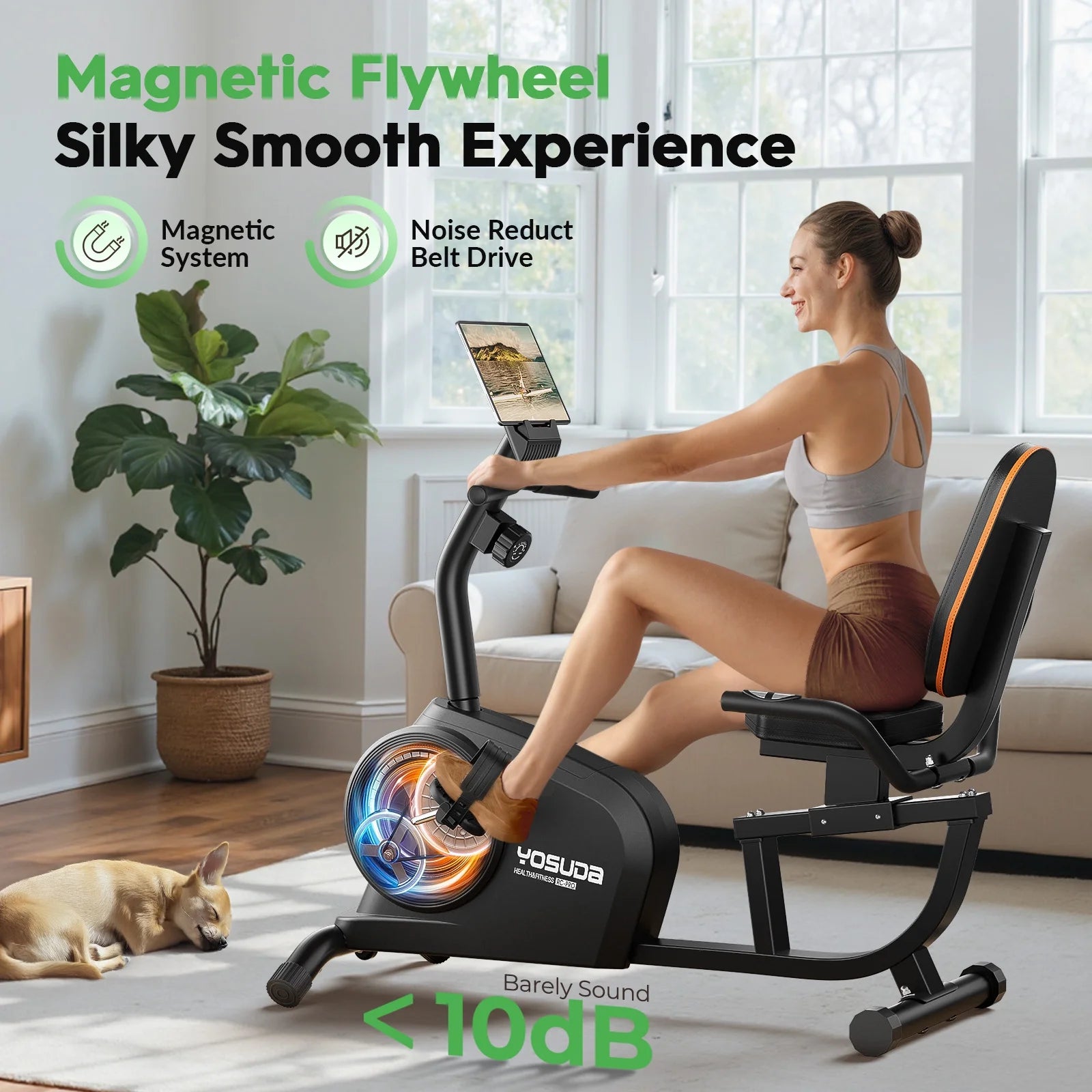 Yosuda Recumbent Exercise Bike for Senior for Home with 350 lb Capacity