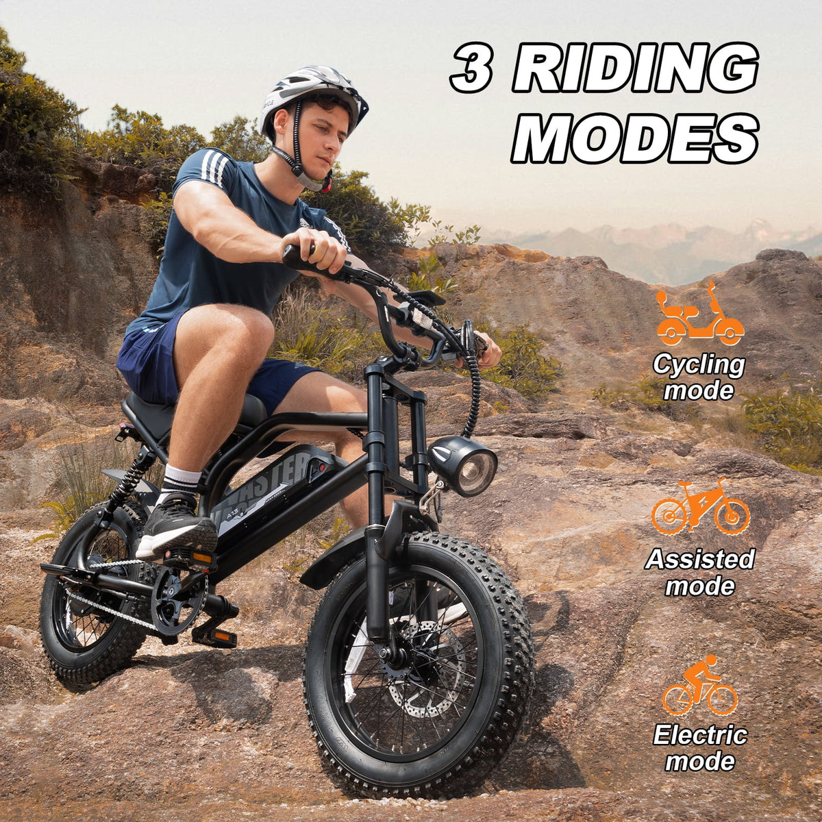 AVDL Electric Bike, 16" Fat Tire Ebike, 500W Motor, 48V 12ah Removable Battery, 4x Suspension, 38 Miles Pure Electric, 55 Miles Pedal