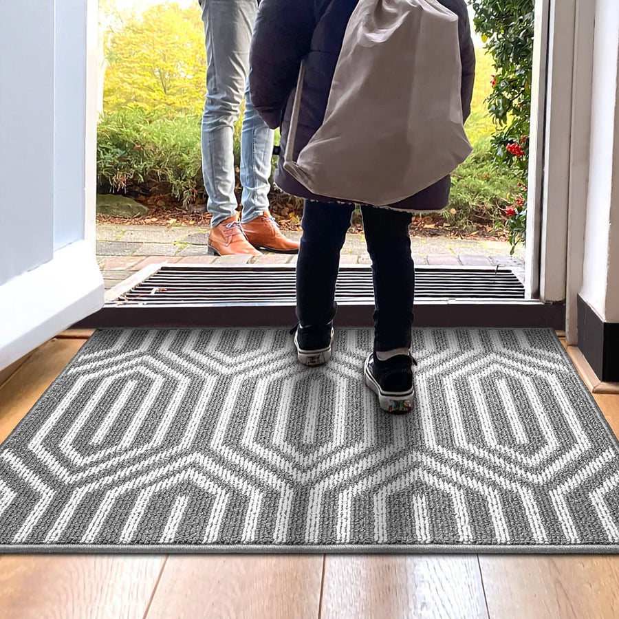 DEXI Indoor Door Mat Durable Front Door Mats for Entryway, Non Slip Absorbent Resist Dirt Entry Rug, 20"x31" Doormat Indoor Entrance, Machine