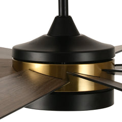 Dextrus 60 in Modern LED Outdoor/ Indoor Ceiling Fan with Remote Control