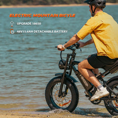 20" Fat Tire Electric Bike for Adults, 1500W Peak Adults Ebike, 48V 15ah Battery Electric Mountain Bike UL2849